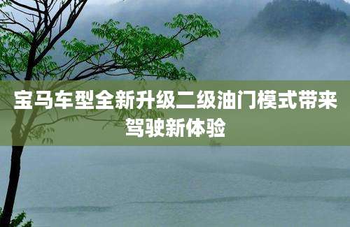宝马车型全新升级二级油门模式带来驾驶新体验