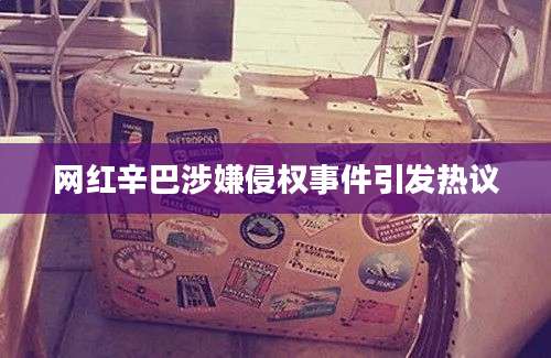 网红辛巴涉嫌侵权事件引发热议