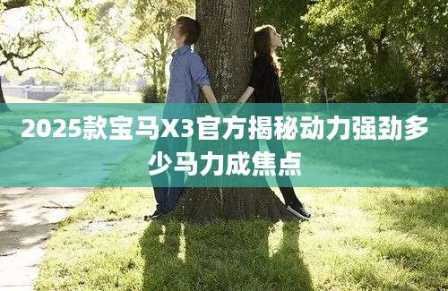 2025款宝马X3官方揭秘动力强劲多少马力成焦点