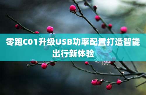 零跑C01升级USB功率配置打造智能出行新体验
