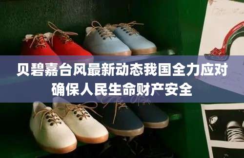 贝碧嘉台风最新动态我国全力应对确保人民生命财产安全