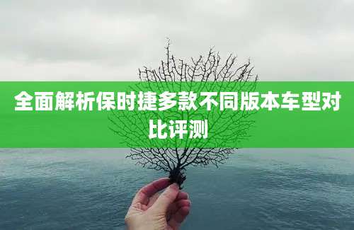 全面解析保时捷多款不同版本车型对比评测