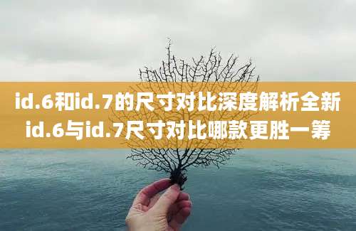 id.6和id.7的尺寸对比深度解析全新id.6与id.7尺寸对比哪款更胜一筹