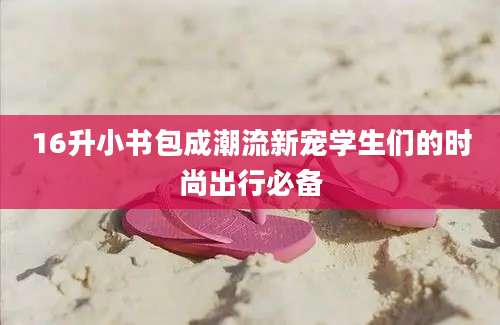 16升小书包成潮流新宠学生们的时尚出行必备
