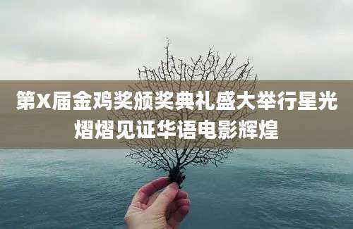 第X届金鸡奖颁奖典礼盛大举行星光熠熠见证华语电影辉煌