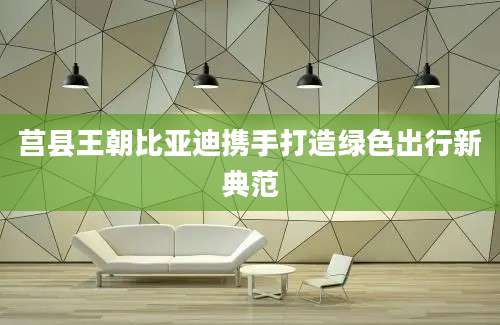 莒县王朝比亚迪携手打造绿色出行新典范
