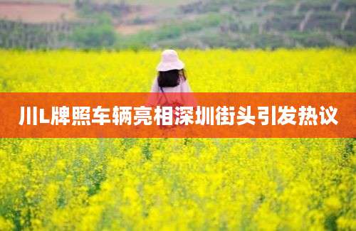 川L牌照车辆亮相深圳街头引发热议