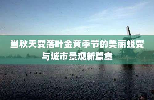 当秋天变落叶金黄季节的美丽蜕变与城市景观新篇章