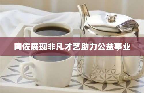 向佐展现非凡才艺助力公益事业