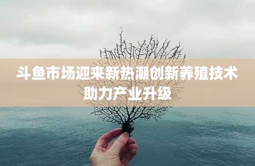 斗鱼市场迎来新热潮创新养殖技术助力产业升级