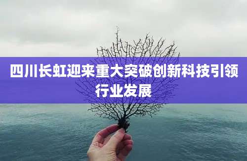 四川长虹迎来重大突破创新科技引领行业发展