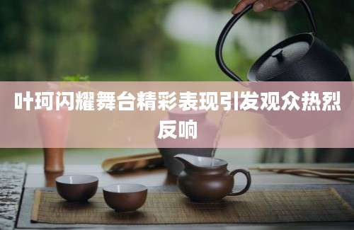 叶珂闪耀舞台精彩表现引发观众热烈反响