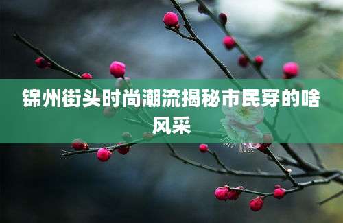 锦州街头时尚潮流揭秘市民穿的啥风采