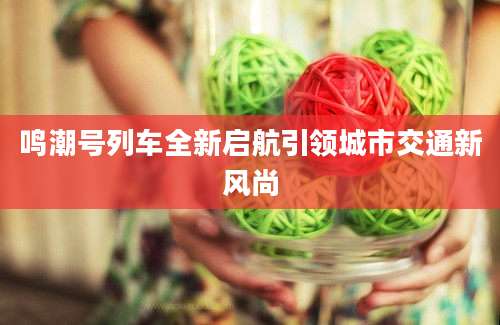 鸣潮号列车全新启航引领城市交通新风尚