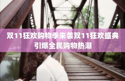 双11狂欢购物季来袭双11狂欢盛典引爆全民购物热潮