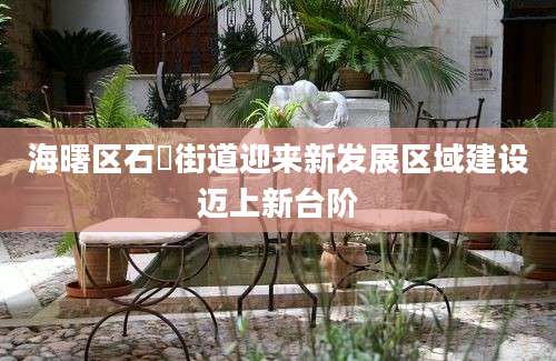 海曙区石碶街道迎来新发展区域建设迈上新台阶