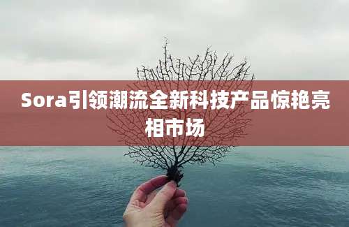 Sora引领潮流全新科技产品惊艳亮相市场