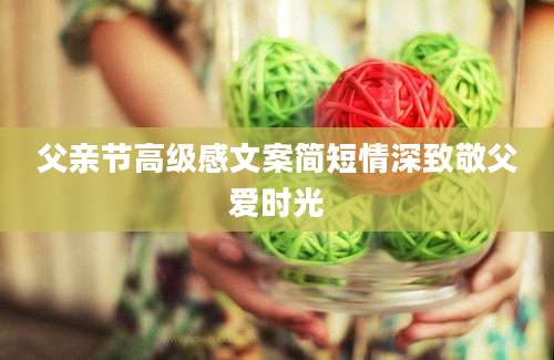 父亲节高级感文案简短情深致敬父爱时光