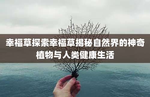 幸福草探索幸福草揭秘自然界的神奇植物与人类健康生活