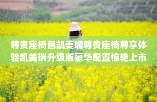 尊贵座椅包凯美瑞尊贵座椅尊享体验凯美瑞升级版豪华配置惊艳上市