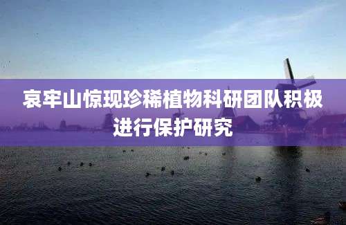 哀牢山惊现珍稀植物科研团队积极进行保护研究