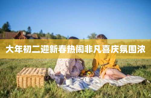 大年初二迎新春热闹非凡喜庆氛围浓