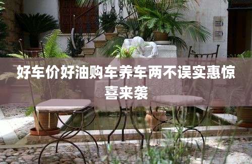 好车价好油购车养车两不误实惠惊喜来袭