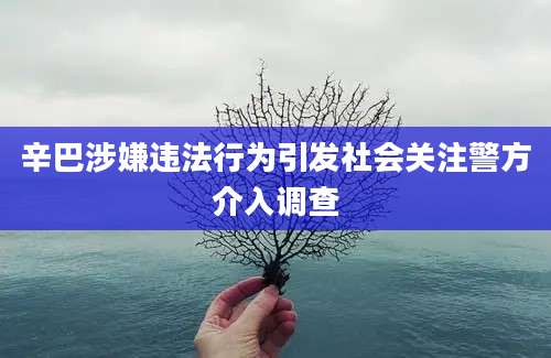 辛巴涉嫌违法行为引发社会关注警方介入调查