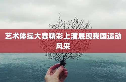 艺术体操大赛精彩上演展现我国运动风采
