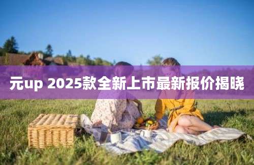 元up 2025款全新上市最新报价揭晓