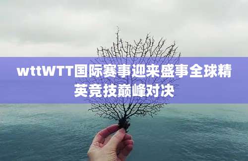 wttWTT国际赛事迎来盛事全球精英竞技巅峰对决