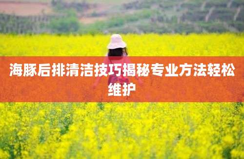 海豚后排清洁技巧揭秘专业方法轻松维护