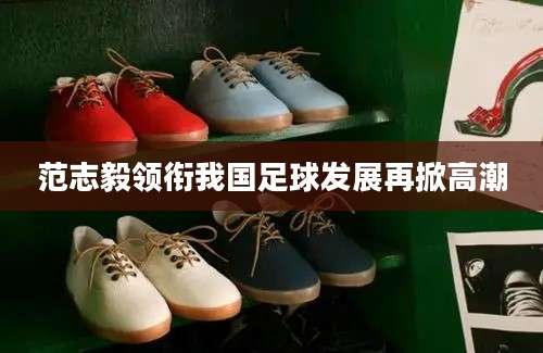 范志毅领衔我国足球发展再掀高潮