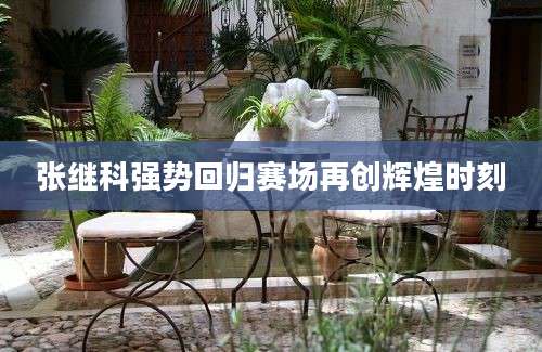 张继科强势回归赛场再创辉煌时刻