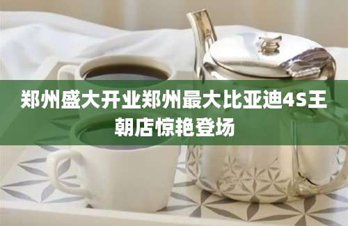 郑州盛大开业郑州最大比亚迪4S王朝店惊艳登场