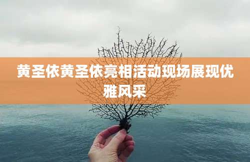 黄圣依黄圣依亮相活动现场展现优雅风采