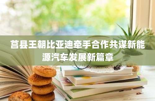 莒县王朝比亚迪牵手合作共谋新能源汽车发展新篇章