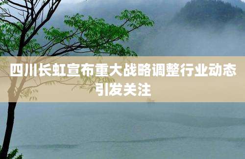 四川长虹宣布重大战略调整行业动态引发关注