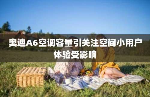 奥迪A6空调容量引关注空间小用户体验受影响