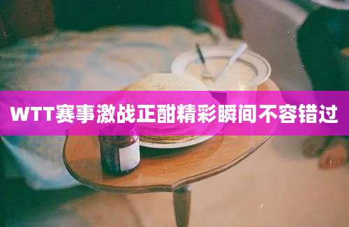 WTT赛事激战正酣精彩瞬间不容错过