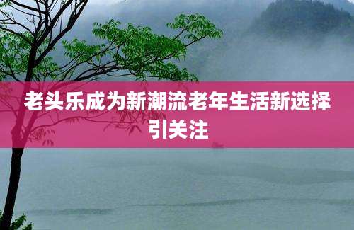 老头乐成为新潮流老年生活新选择引关注
