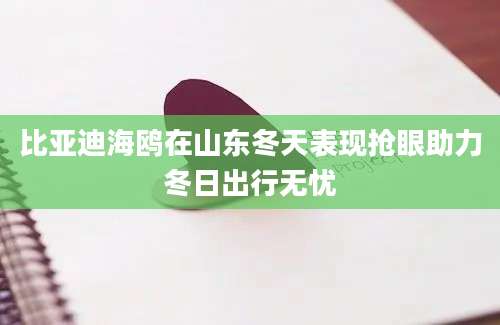 比亚迪海鸥在山东冬天表现抢眼助力冬日出行无忧