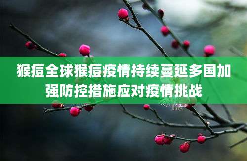 猴痘全球猴痘疫情持续蔓延多国加强防控措施应对疫情挑战