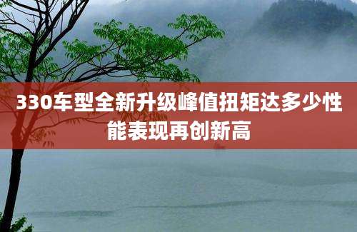 330车型全新升级峰值扭矩达多少性能表现再创新高
