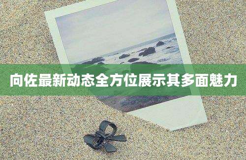 向佐最新动态全方位展示其多面魅力