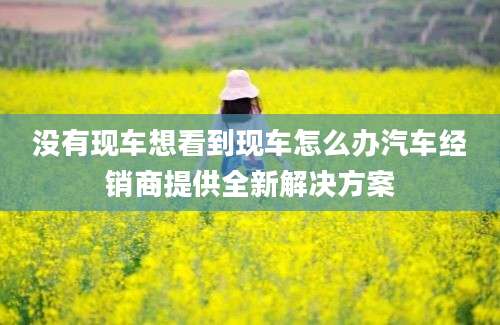 没有现车想看到现车怎么办汽车经销商提供全新解决方案