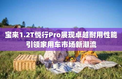 宝来1.2T悦行Pro展现卓越耐用性能引领家用车市场新潮流
