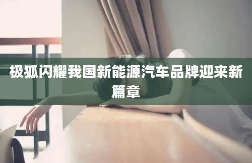极狐闪耀我国新能源汽车品牌迎来新篇章