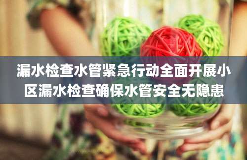 漏水检查水管紧急行动全面开展小区漏水检查确保水管安全无隐患