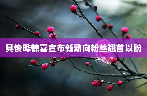 具俊晔惊喜宣布新动向粉丝翘首以盼